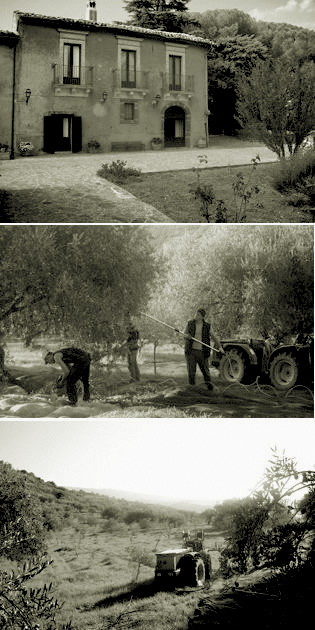 l'azienda Poggio del Lago